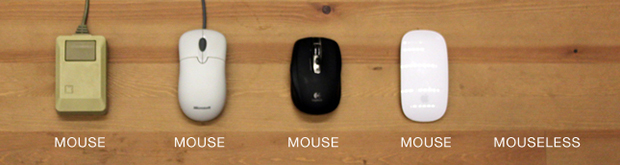 mouse evolution