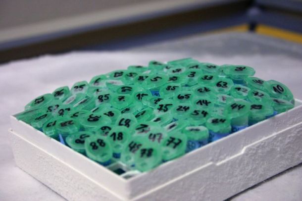 Lab on a chip
