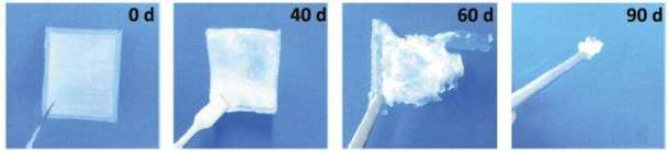 nanogenerador biodegradable