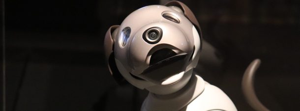 Doggo Perro Robot Stanford
