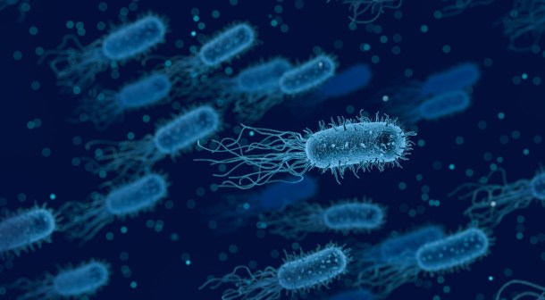 Bacteria ADN Artificial E.coli Genoma