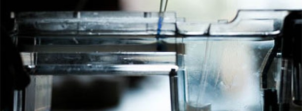 La proteína que cambiará la tecnología