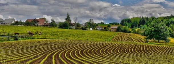 Sectores tradicionales tocados por los avances tecnológicos