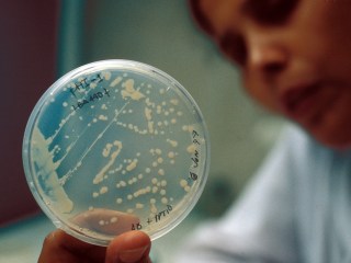 mapa de bacterias