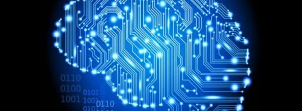 Mission: understand the human brain