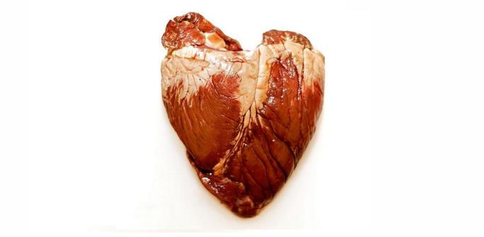 tejido cardiaco artificial
