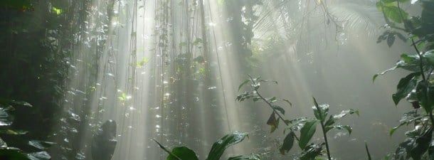 Biosphere 2, lo que aprendimos del mayor laboratorio artificial del mundo
