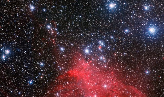The star cluster. Brilliant nodes