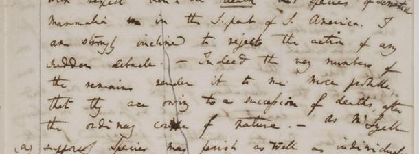 Darwin se digitaliza: restauran y publican 16.000 páginas sobre la teoría de la evolución