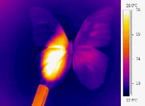 Alas de mariposa para crear un nuevo tipo de sensor de gas