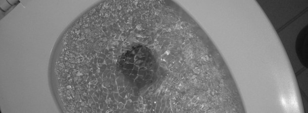 El baño que no necesita agua para funcionar