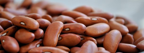 ¿Por qué es importante el consumo de legumbres?