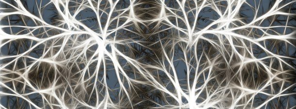 Una nueva cámara ultrarrápida es capaz de captar los impulsos eléctricos entre neuronas