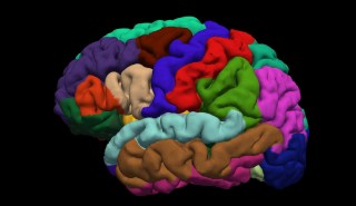 Espina dorsal biónica