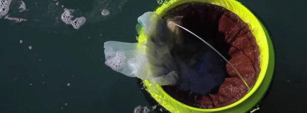 Seabin es el proyecto más prometedor para mantener limpios los océanos