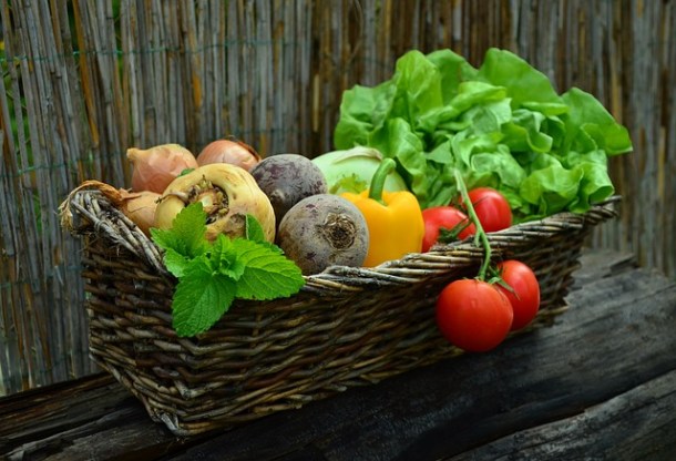 comida sana y rápida, sector agroalimentario