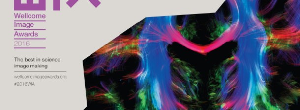 Un viaje al mundo de la ciencia en 20 imágenes