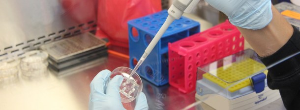 El extraño y fascinante negocio de imprimir partes del cuerpo en 3D