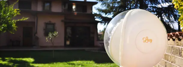 Lucy, la robot que bebe del sol e ilumina como 13 bombillas (pero contamina una tonelada menos)