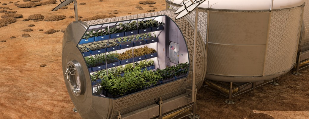 Cultivar alimentos en el espacio
