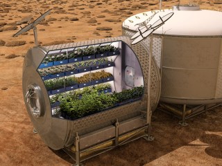 Cultivar alimentos en el espacio