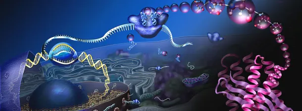 El Nobel de Química premia una técnica para fotografiar moléculas biológicas