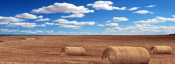 Este sistema de agricultura protegerá a los cultivos de la sequía