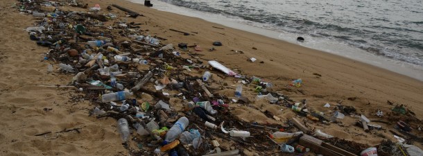 Cómo combatir el problema de la acumulación de plástico