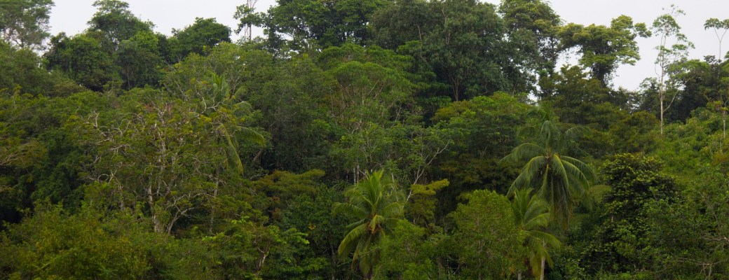 renovables en Costa Rica