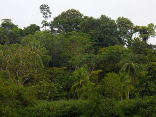 renovables en Costa Rica