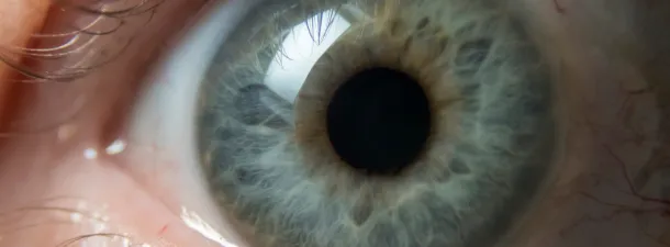 Científicos imprimen por primera vez córnea en 3D