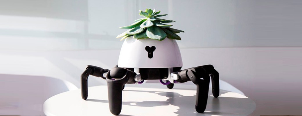 maceta planta robot sol luz