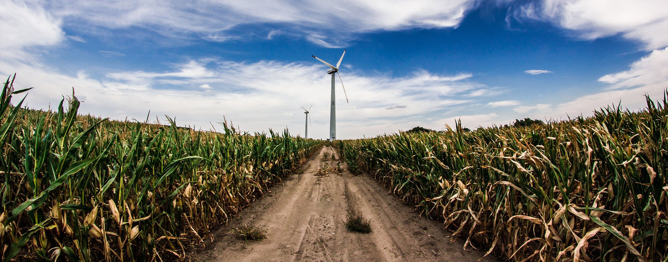 La tecnología conseguirá un medio rural sostenible