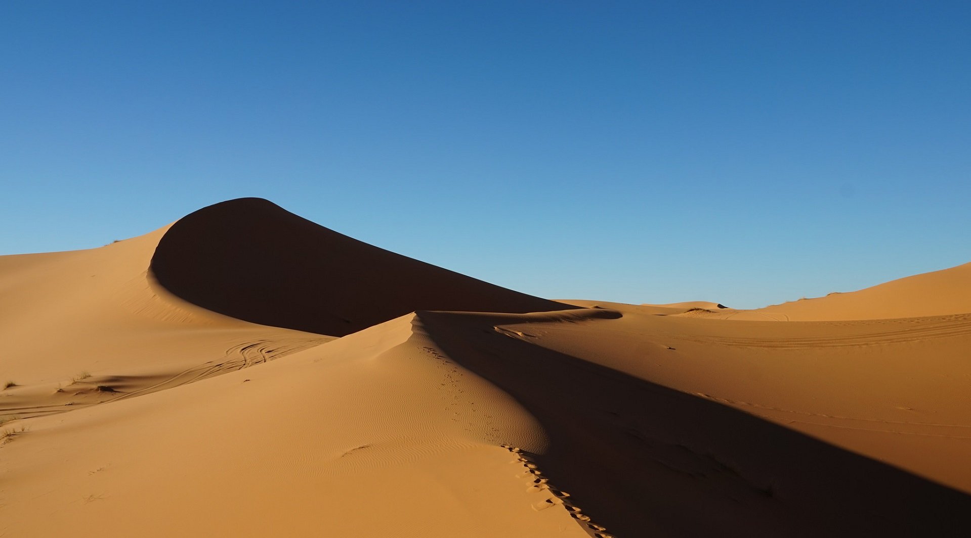 sahara - Blogthinkbig.com