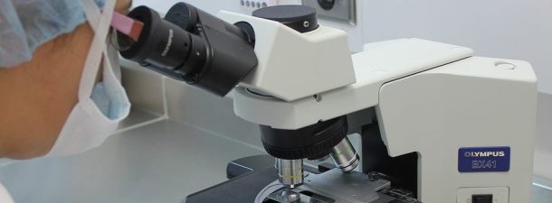 La distrofia muscular da esperanzas a los investigadores en la lucha contra el VIH