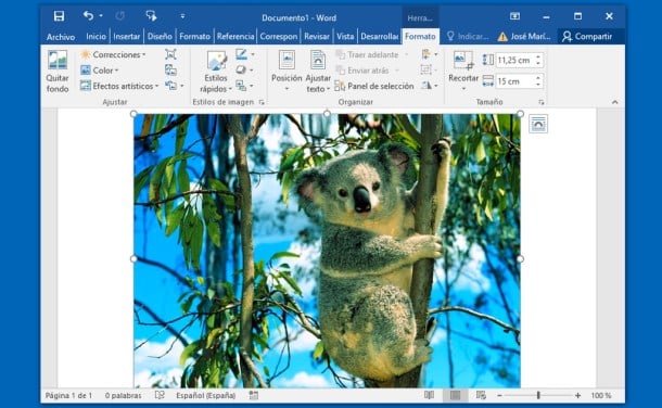 Elimina El Fondo De Una Imagen Desde Word Y Powerpoint Como Eliminar El Fondo De Una Imagen En Powerpoint Y Word