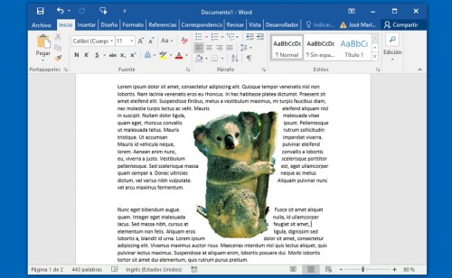 Elimina el fondo de una imagen desde Word y PowerPoint Cómo eliminar el  fondo de una imagen en PowerPoint y Word