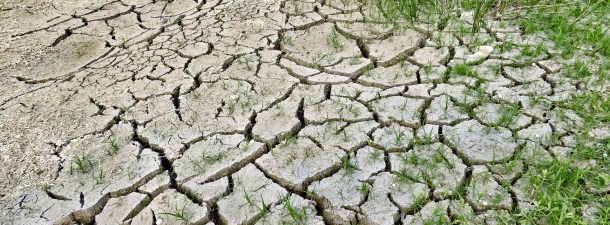 El cambio climático y sus efectos en la salud de la infancia