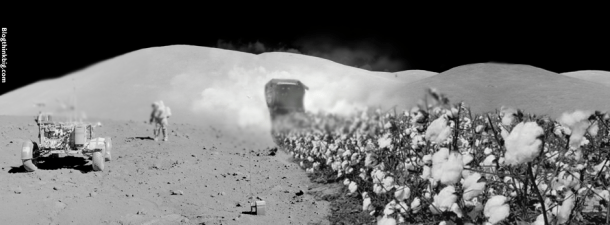 Adiós al algodón lunar