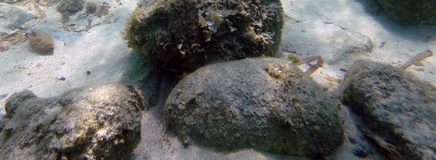 Reino Unido podría usar rocas del Mar del Norte como almacén energético