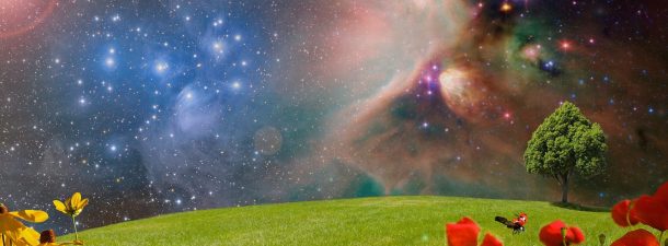 Este nuevo dispositivo óptico podría detectar vida vegetal extraterrestre