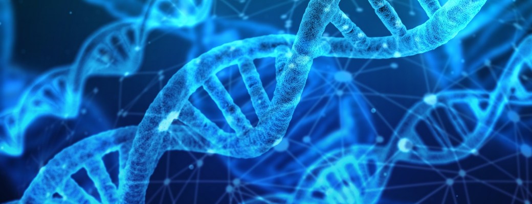 datos en ADN
