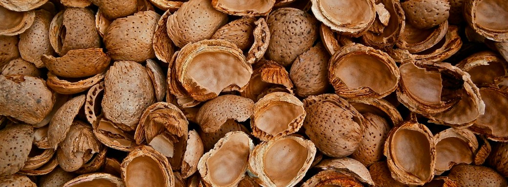 cáscaras de almendra frutos secos biomasa