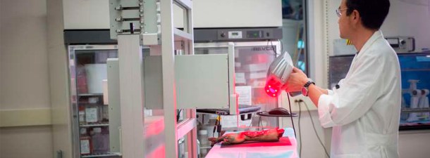 Esta impresora 3D imprime piel nueva directamente sobre las heridas