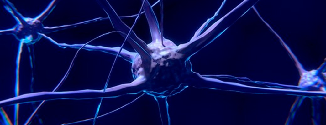 insomnio parkinson enfermedad neurona cerebro terapia genetica