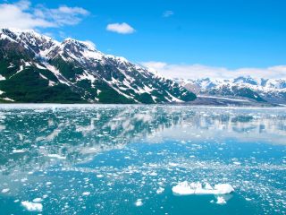 Glaciares Deshielo Alaska Cambio Climático Calentamiento Global