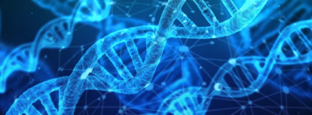 La computación biológica se basa en elementos biológicos como el ADN, las moléculas o las proteínas