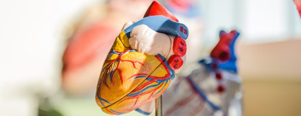 Corazón 3D Impresión Trasplantes