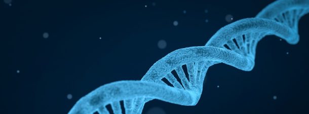 ¿Qué es la epigenética?