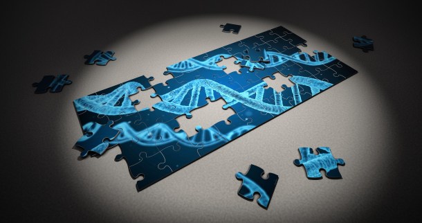 Epigenética ADN Genoma Memoria